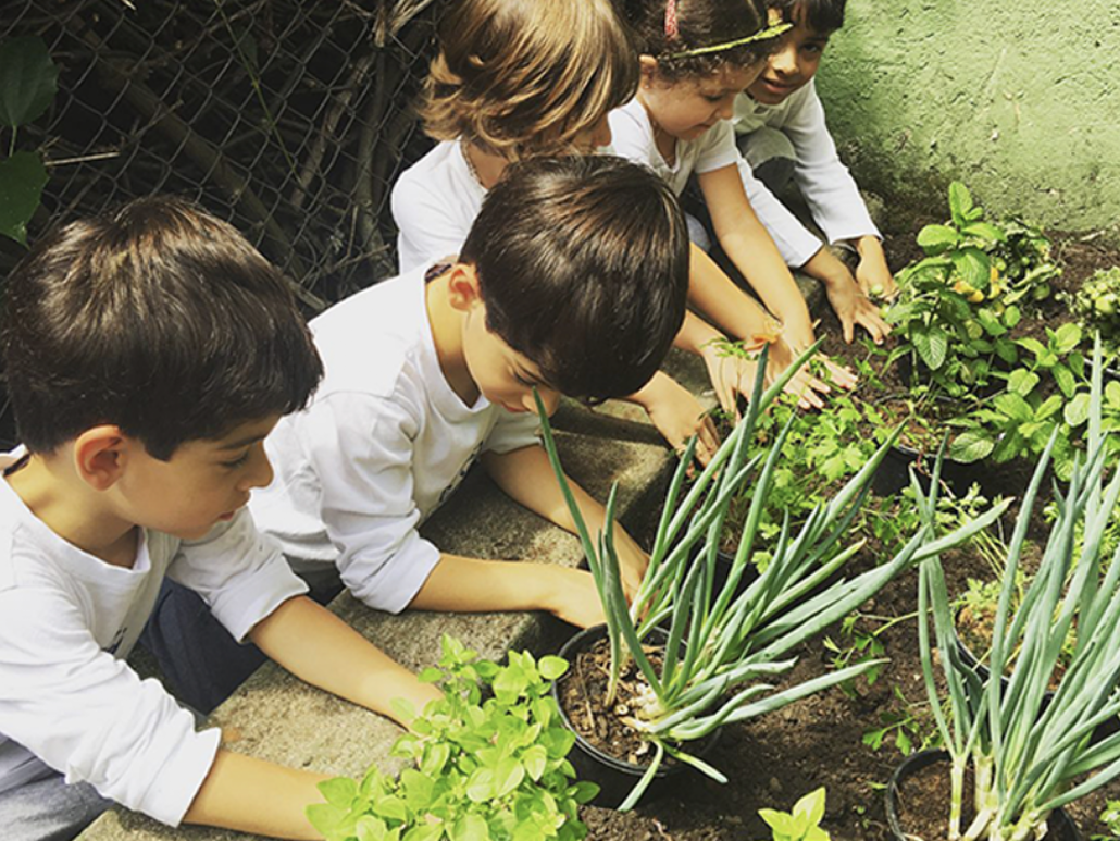 Minimaternal - Ed. Infantil: História o gato xadrez. - Escola