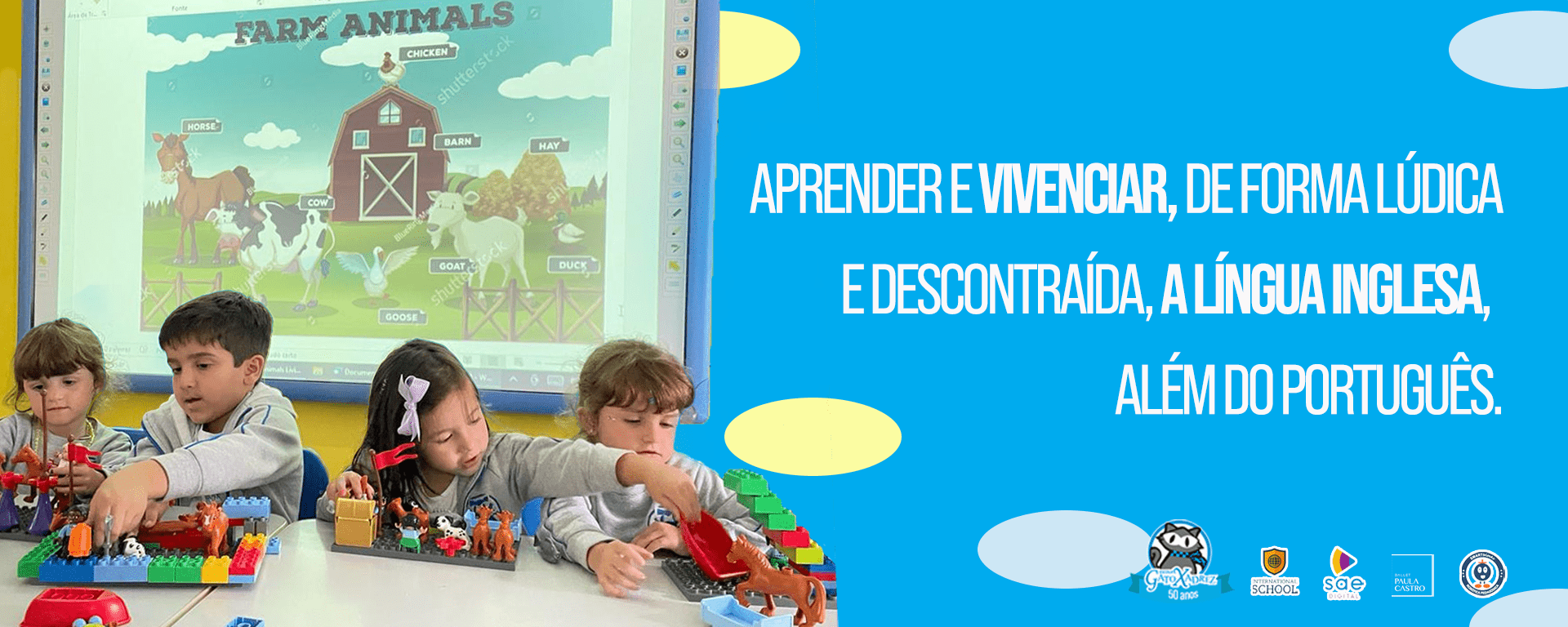 Minimaternal - Ed. Infantil: História o gato xadrez. - Escola